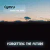 Forgetting the Future - Cymru - Single